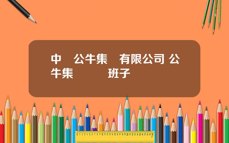 中國公牛集團有限公司 公牛集團領導班子